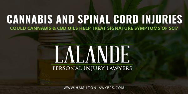 Cannabis & Spinal Cord Injuries