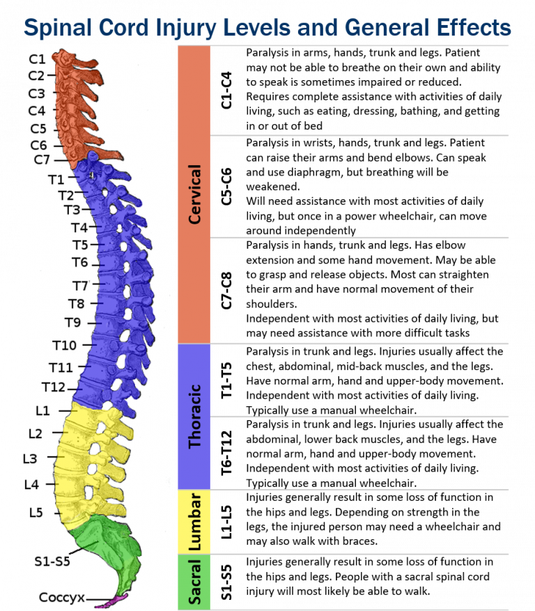 What is a Cervical Spinal Cord Injury? Hamilton Personal Injury Lawyers