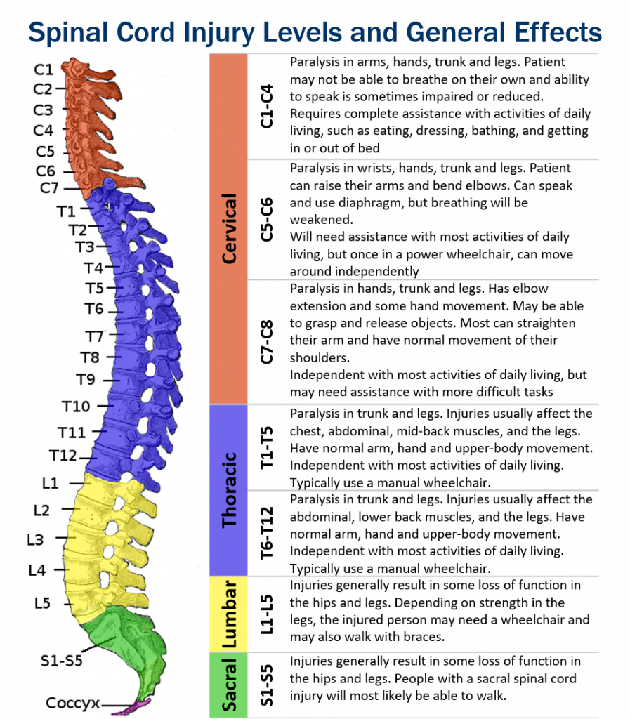 Spinal Cord Injury Level C6