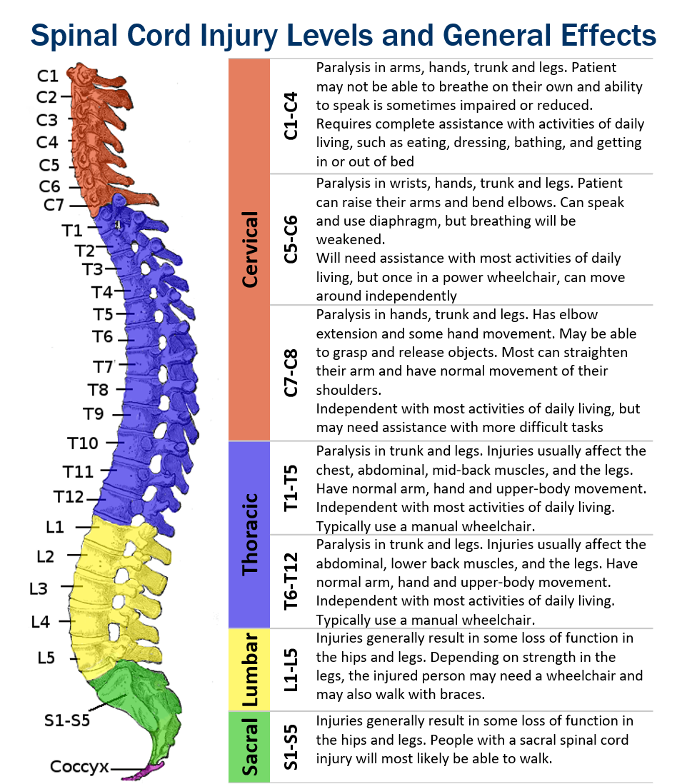 Spinal Cord Injury Levels 